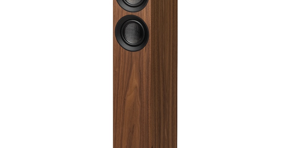 Speaker Box 10 E Carbon