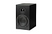 Акустическая система Pro-Ject Speaker Box 5 S2
